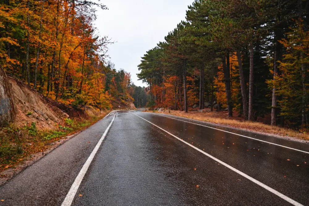 Strada bagnata con il riflesso dell'asfalto ridotto grazie a una simulazione di polarizzazione