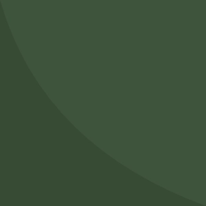 Verdi