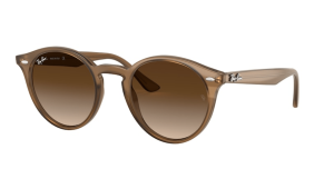 Ray-Ban 2180, colore 616613 · Turtledove