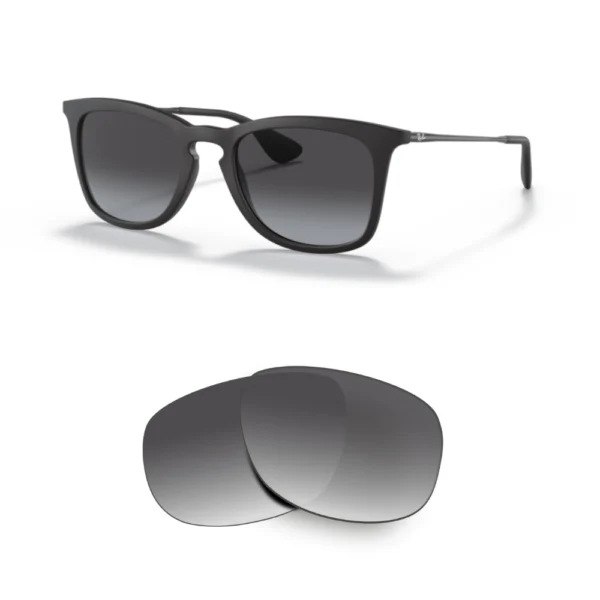 Lenti Ray-Ban 4221 compatibili