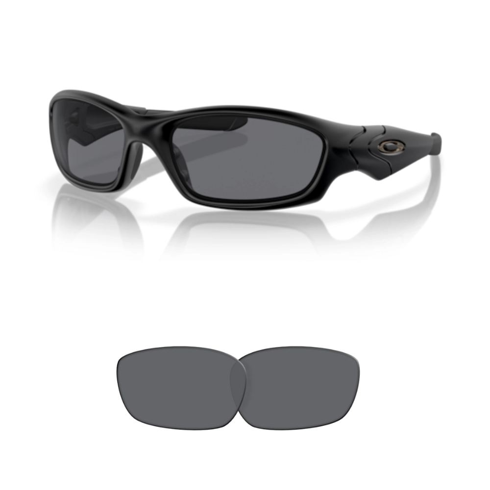 Lenti compatibili Oakley 9039 STRAIGHT JACKET