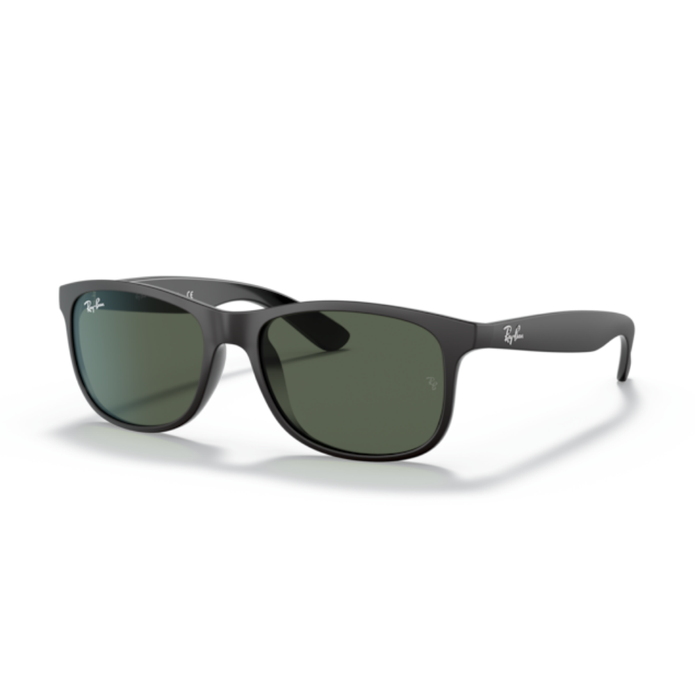 Ray-Ban RB4202 ANDY