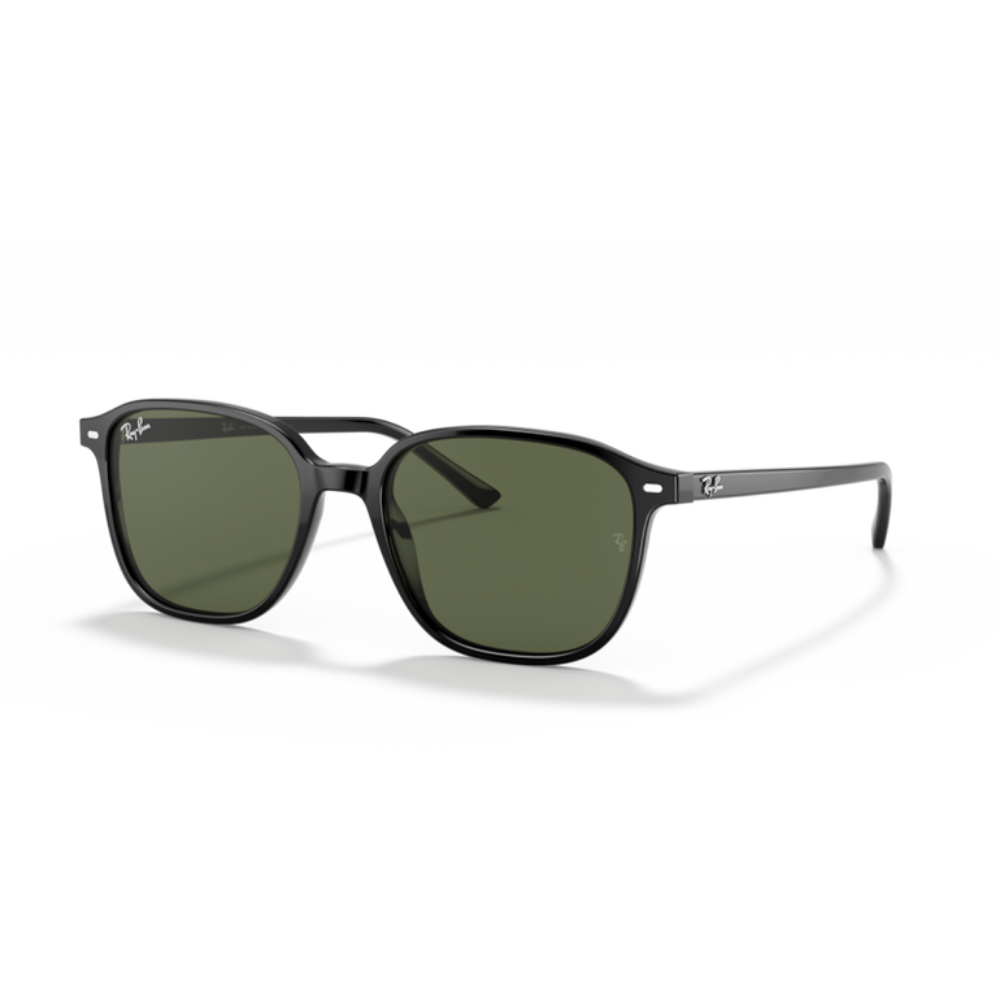 Ray-Ban RB2193 LEONARD