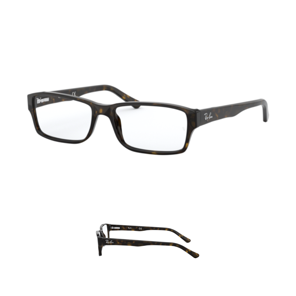 Stanghette/Aste Ray-Ban vista 5169 Originali