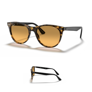 Stanghette – Aste Ray-Ban 2185 WAYFARER II Originali
