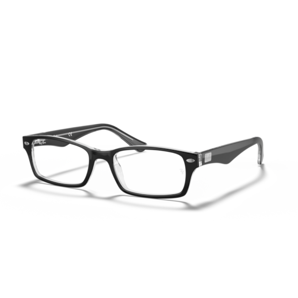 Ray-Ban RX5206