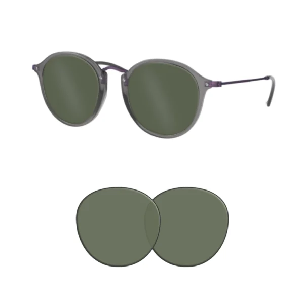 Lenti compatibili Ray-Ban 2447N