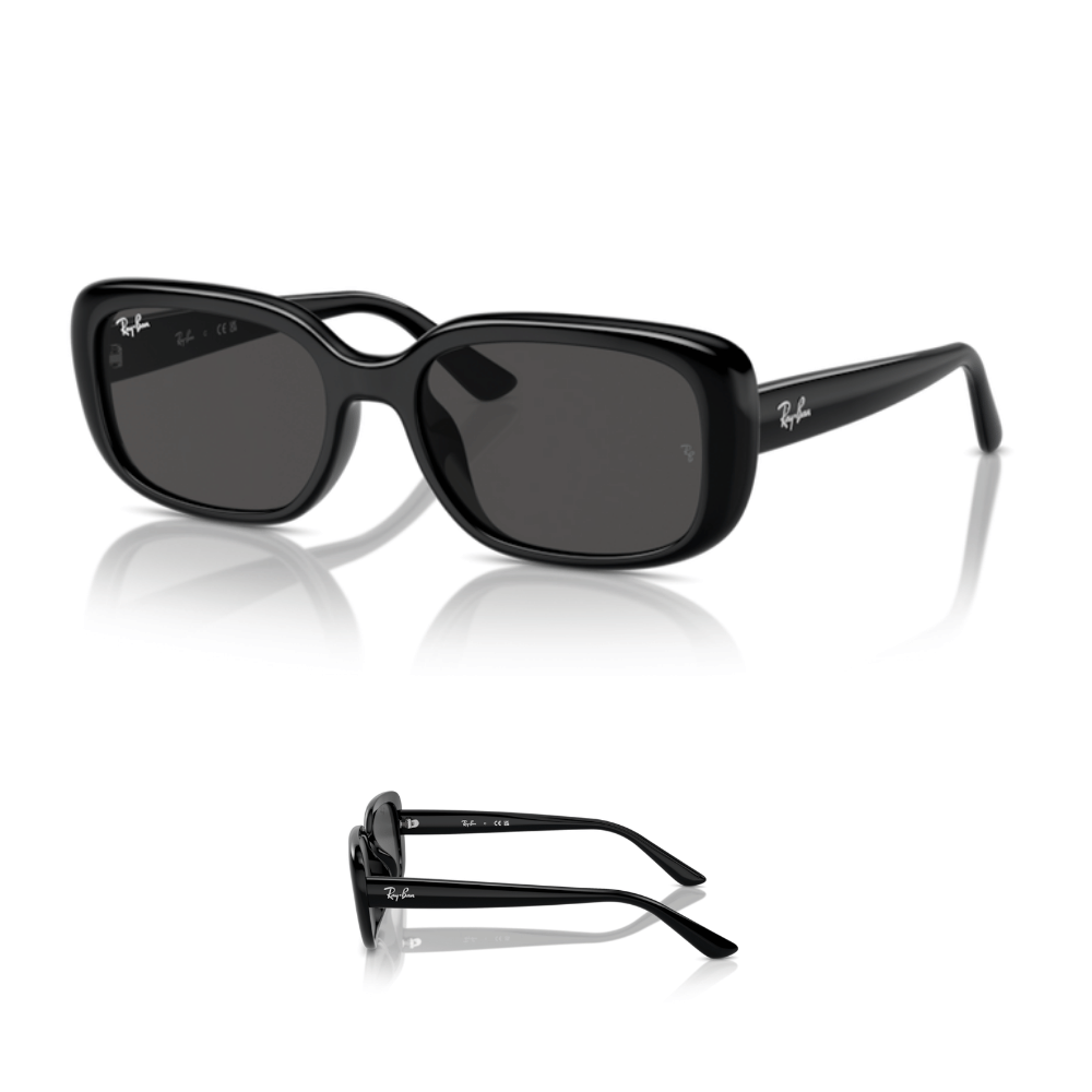 Aste Ray-Ban 4421D Originali