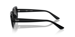 Aste originali Ray-Ban RB4421D, colore 6677 · Nero