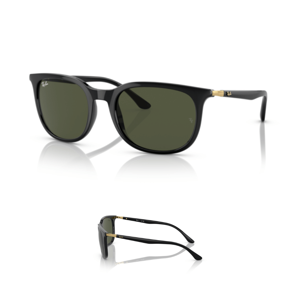 Aste Ray-Ban 4386 Originali