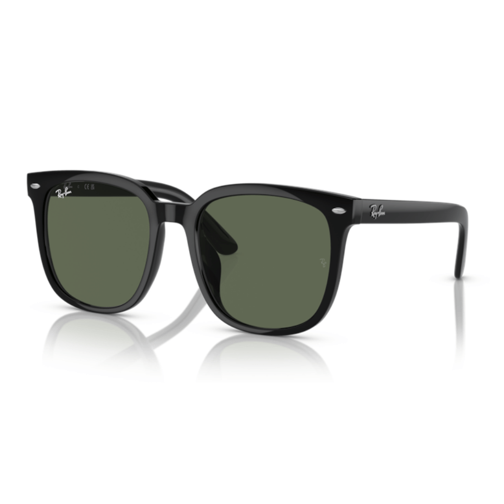 Ray-Ban 4401D
