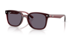 Ray-Ban 4461D, colore 659373 · Trasparente marrone scuro