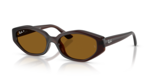 Ray-Ban 4473D, colore 714/83 · Marrone scuro