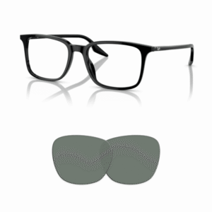 Lenti compatibili Ray-Ban 5421