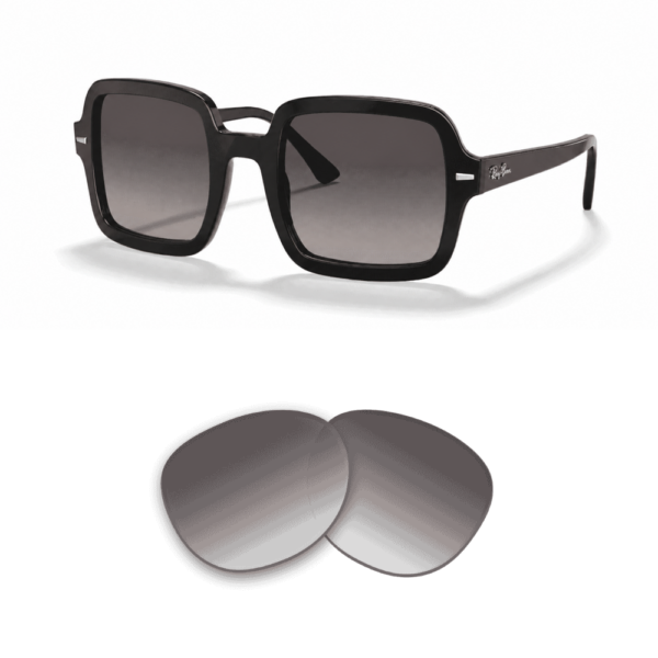 Lenti compatibili Ray-Ban 2188