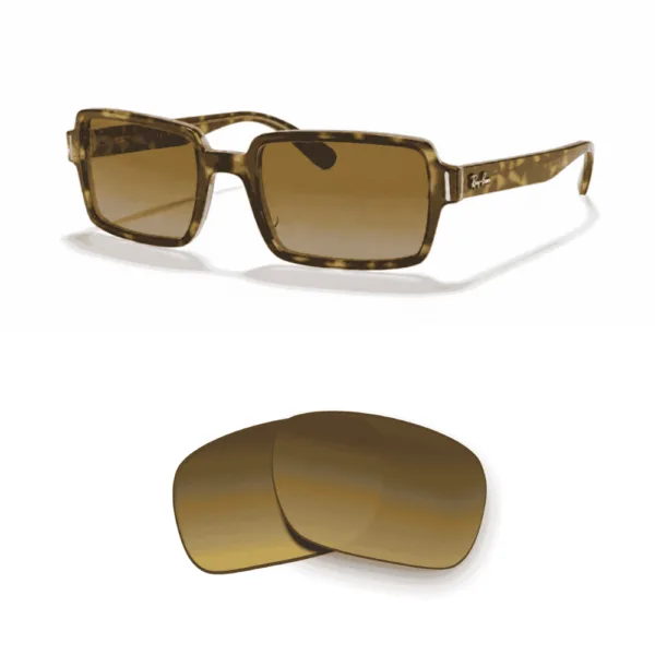Lenti compatibili Ray-Ban 2189 BENJI